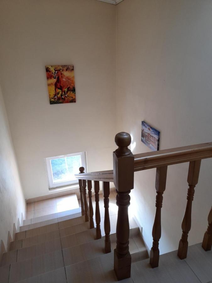 Yana Guest House Dobrinishte Exterior foto