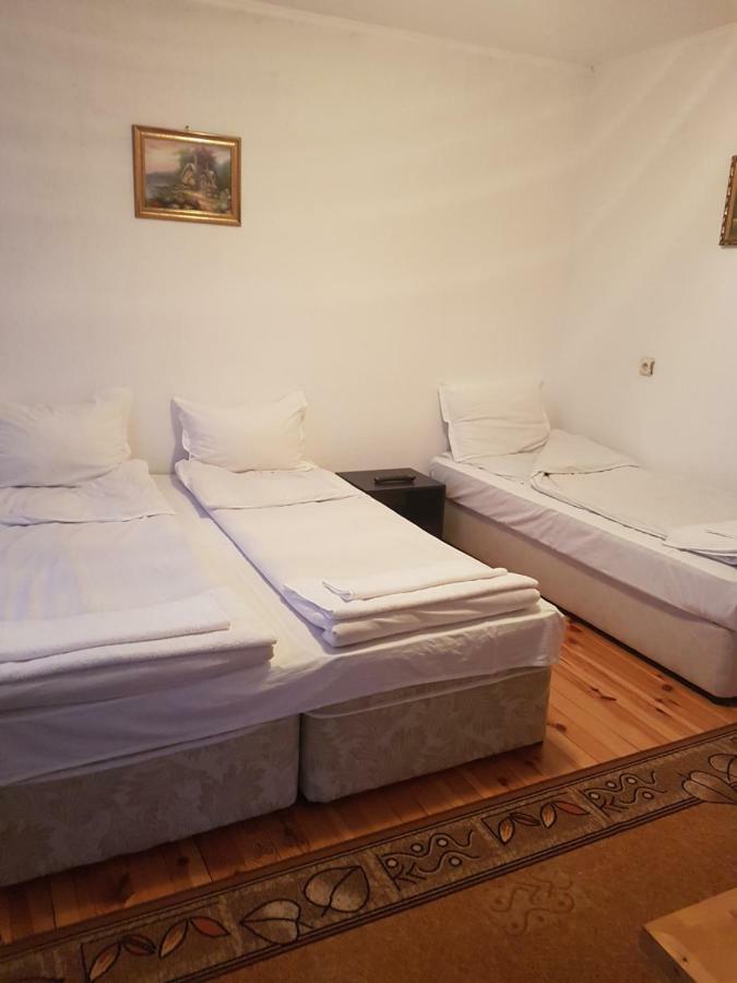 Yana Guest House Dobrinishte Exterior foto